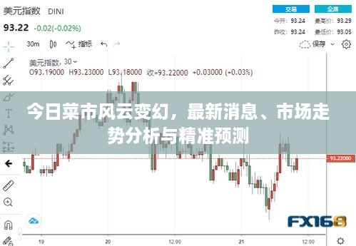 今日菜市風云變幻，最新消息、市場走勢分析與精準預測