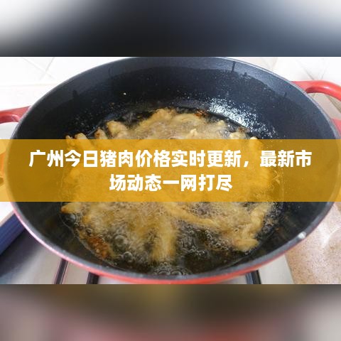 廣州今日豬肉價格實時更新，最新市場動態(tài)一網(wǎng)打盡