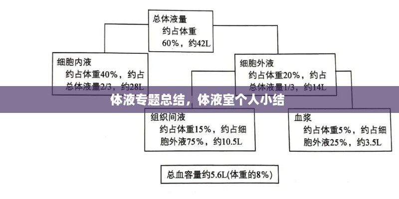 體液專題總結，體液室個人小結 